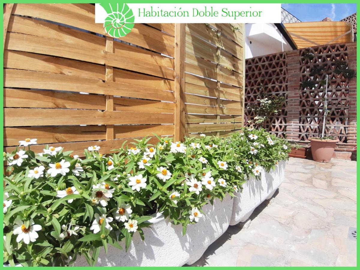 Privat bolig Biznaga Hols (adults Only) Benalmádena